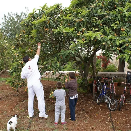 Agroturismo Can Gall 3*